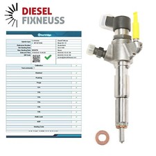 DIESEL INJECTOR for PEUGEOT
